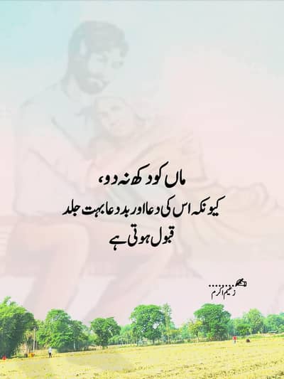 I need a job office boy