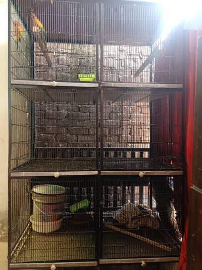 Birds Cage