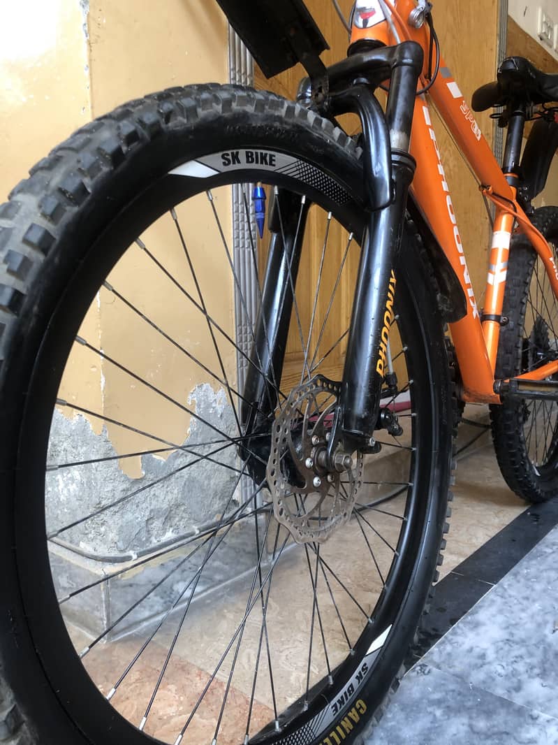 Phoenix cycle imported cycle 9