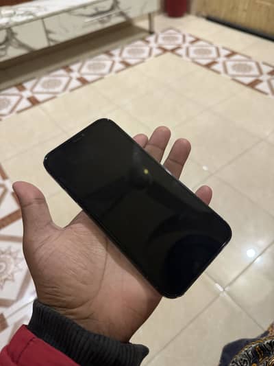 12 pro max pta approved