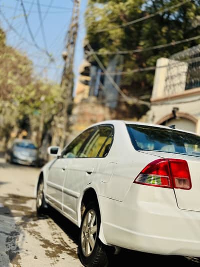 Honda civic prosmetic