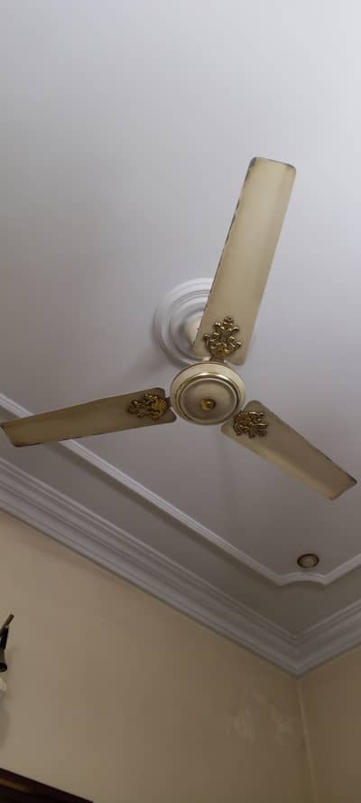 Full Size 56inch Pure copper