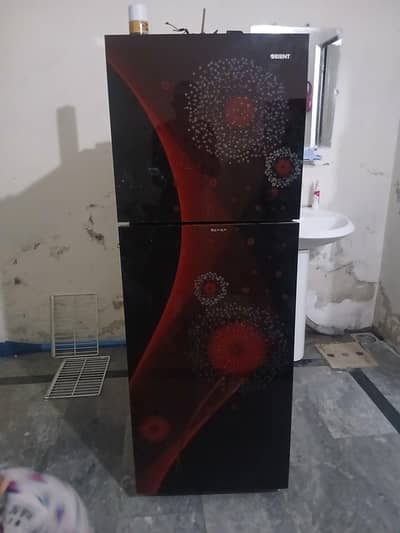 orient 225 model condition is well