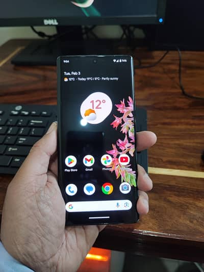 Google Pixel 6 Pro (Dual sim PTA approved)