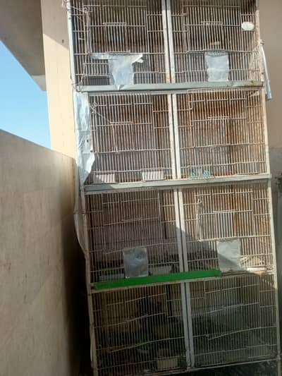 2 Cages Behtreen Hain Sale K Liye