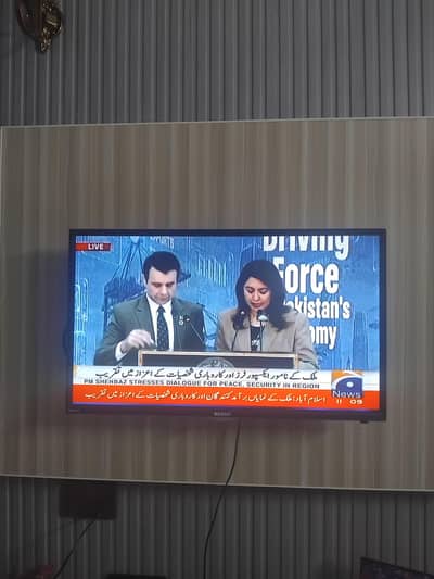 Orient 32  inch simple Led for sale