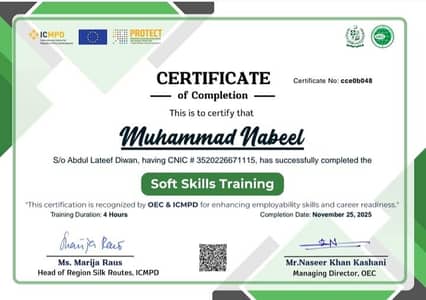 soft skills certificate