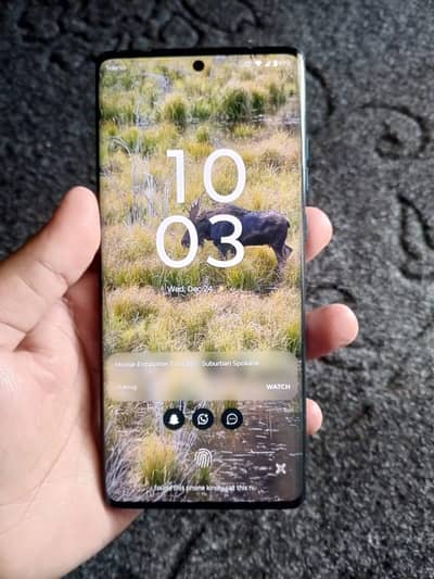 Motorola Edge 50 Fusion 12+12/512Gb with Box.