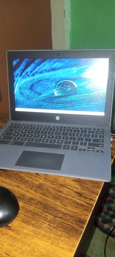 HP CHROME BOOK