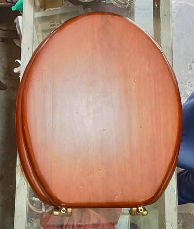 Warm Wood Toilet  seat for sale