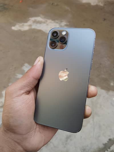 Apple iPhone 12 Pro  only olx chat