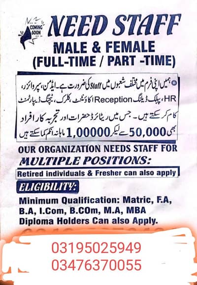 need Staff   male and female