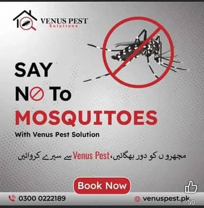 Dengue mosquitoes, Pest Control, Dengue Spary, Fumigation Services