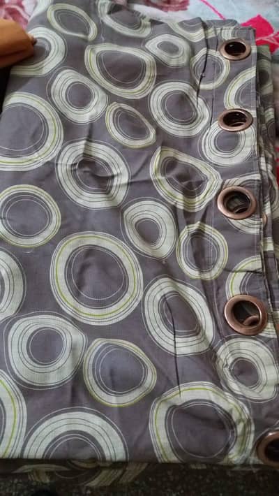 میڈ ان دوبئ  کرٹن