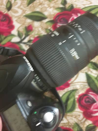 nikon D50 with 70-300 mm lens