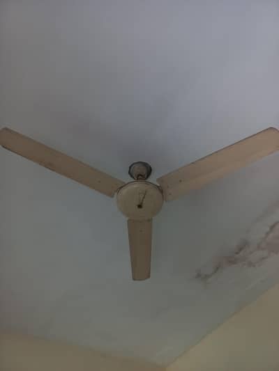 ceiling  fans
