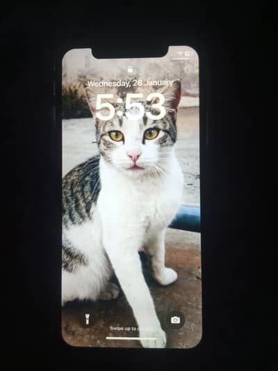 muja Iphone 11 ka panel chay