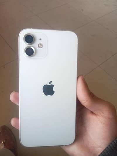 iPhone 12 non PTA Jv