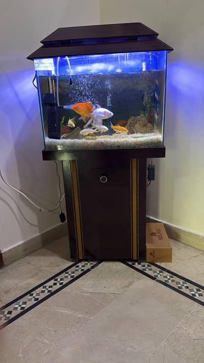 Fishes with complete Aquarium Set