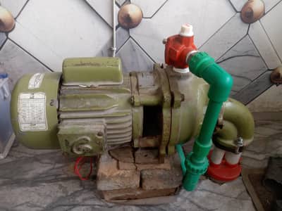 Golden wathar pup g2 19500