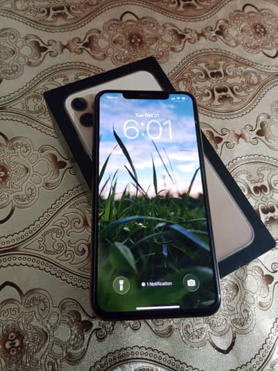 11 pro max 256 gb lush condition