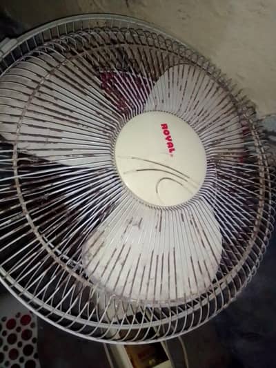 The Royal Fan rough use