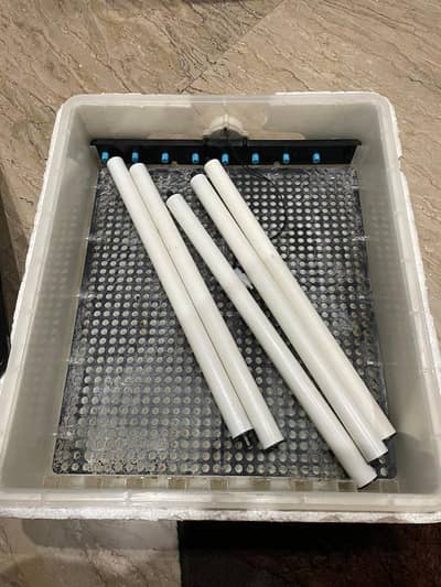 Imported Egg Incubator for Sale | Hen, Duck & Birds Eggs | Farming Use