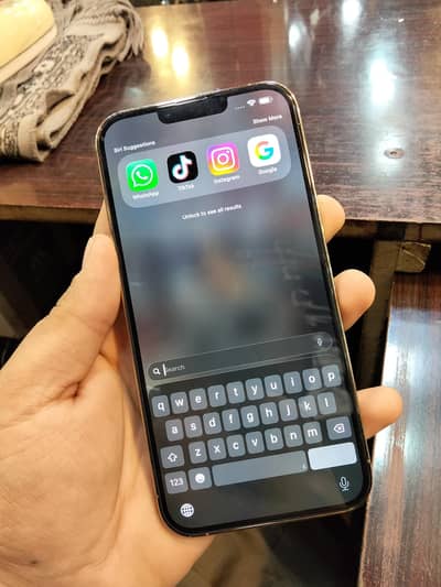 iphone 13 pro max all ok no problem