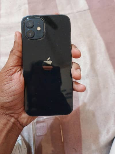 iphone 12 lush condition orginal genuine cell. . water pack. . . 64 gb.