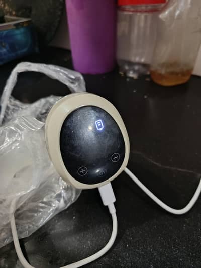 feeding electric pump