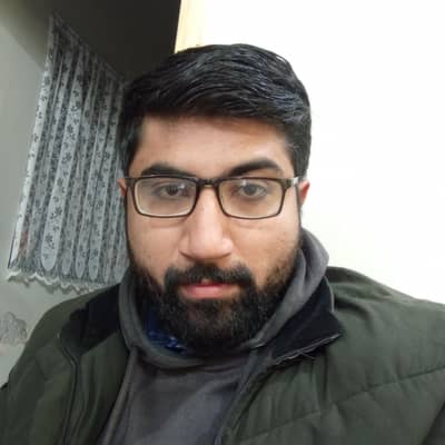 I am expert teacher online