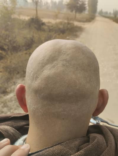 Haircut and Headshave