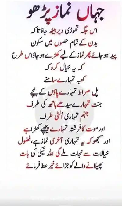 High quality aseel murga || Miawali aseel murga || Aseel hens