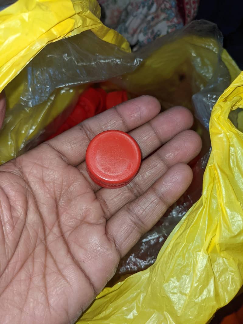 PHENYL EMPTY BOTTLES 2