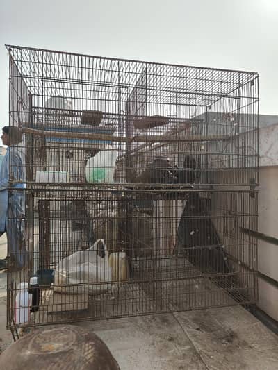 8 portion folding Cage