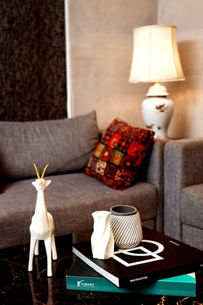 Brand New Furnished Apartments For Rent