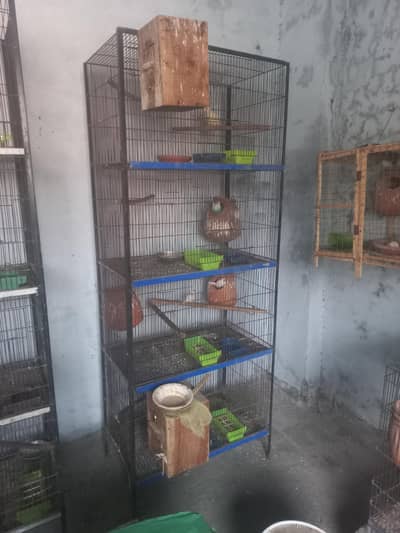 cage&birds