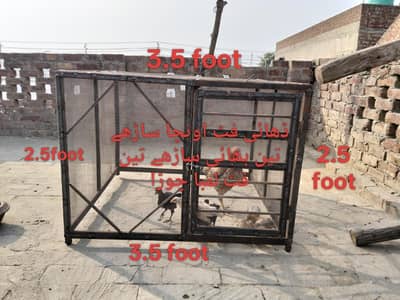 03134646510 Whatsapp