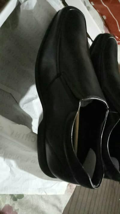 Duchini italian brand shoe