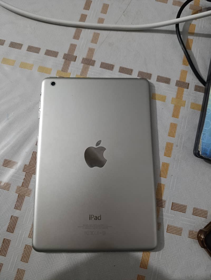 IPad Mini (Silver) 0