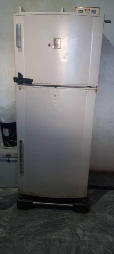 refregete Dowland  full  saiz