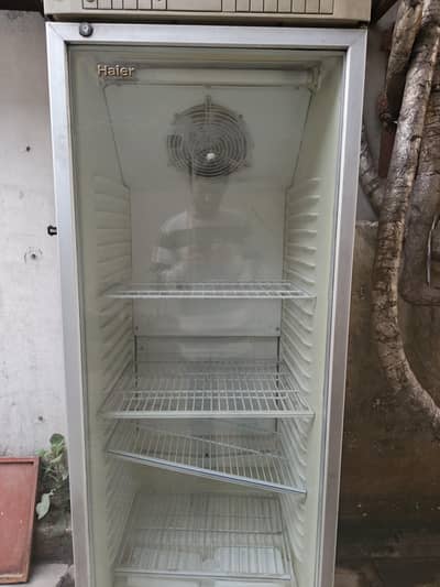 Haier Glass Door  Fridge