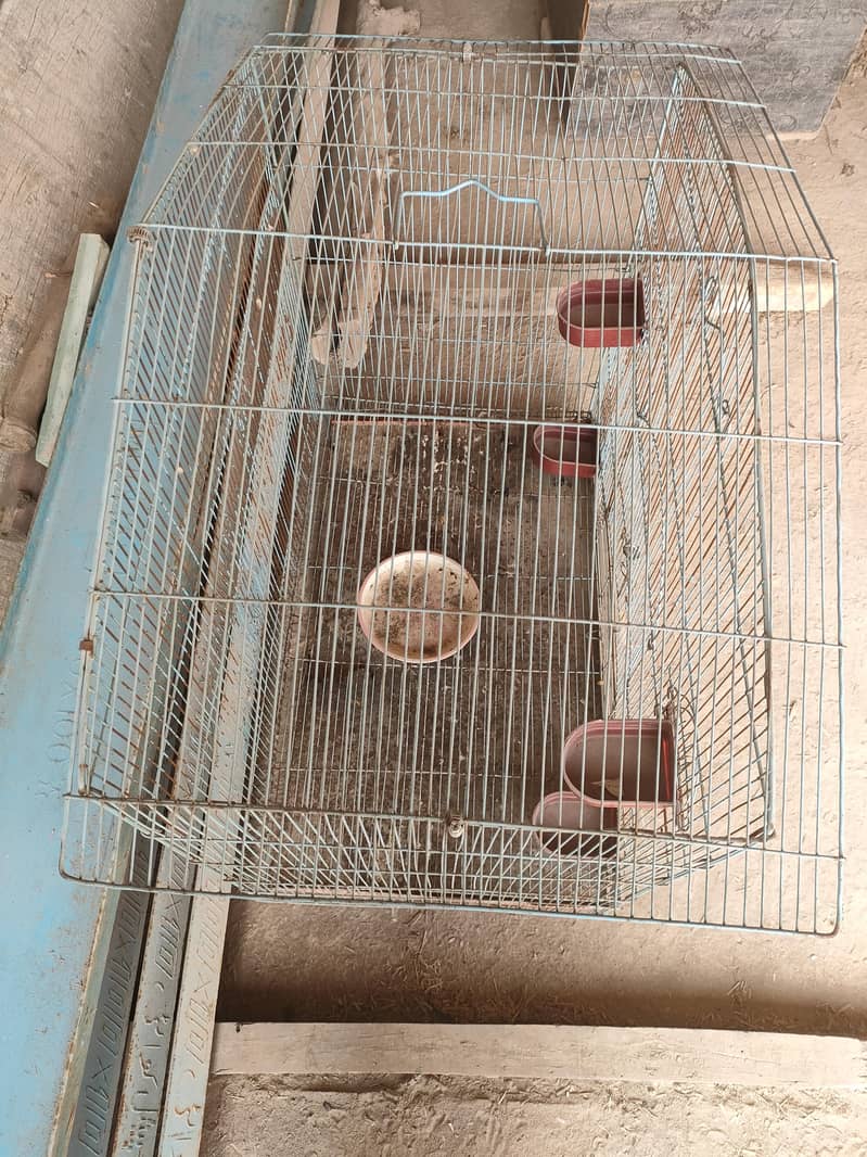 cages 1
