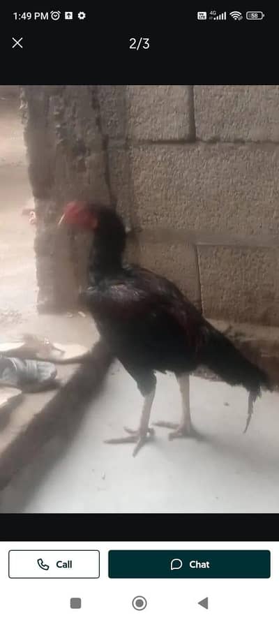 okokpkoko99iohhjhhkk