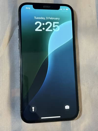 Iphone 12 pro 512gb pta approved