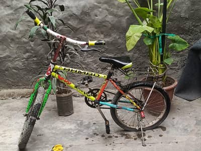 cycle urjunt for sale