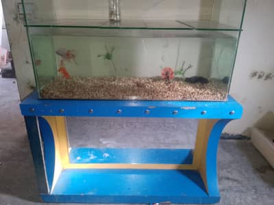 4 feet huge Fish equilibrium For sale