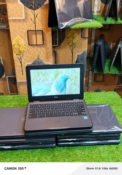 Dell 3100 Window chrome book