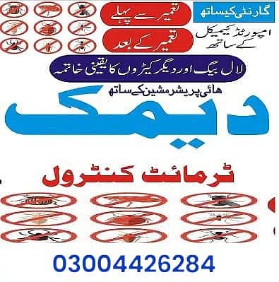 Dengue Spray | Pest Control Service | Termite Control | Deemak Control