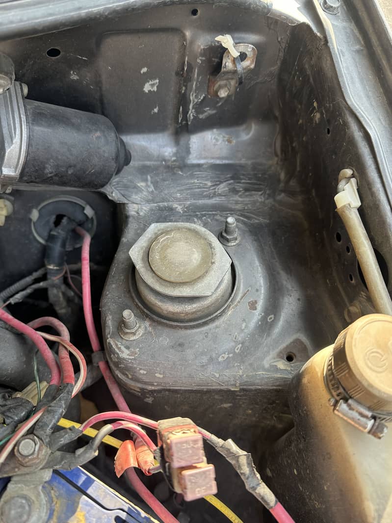 Cuore automatic total genuine 5